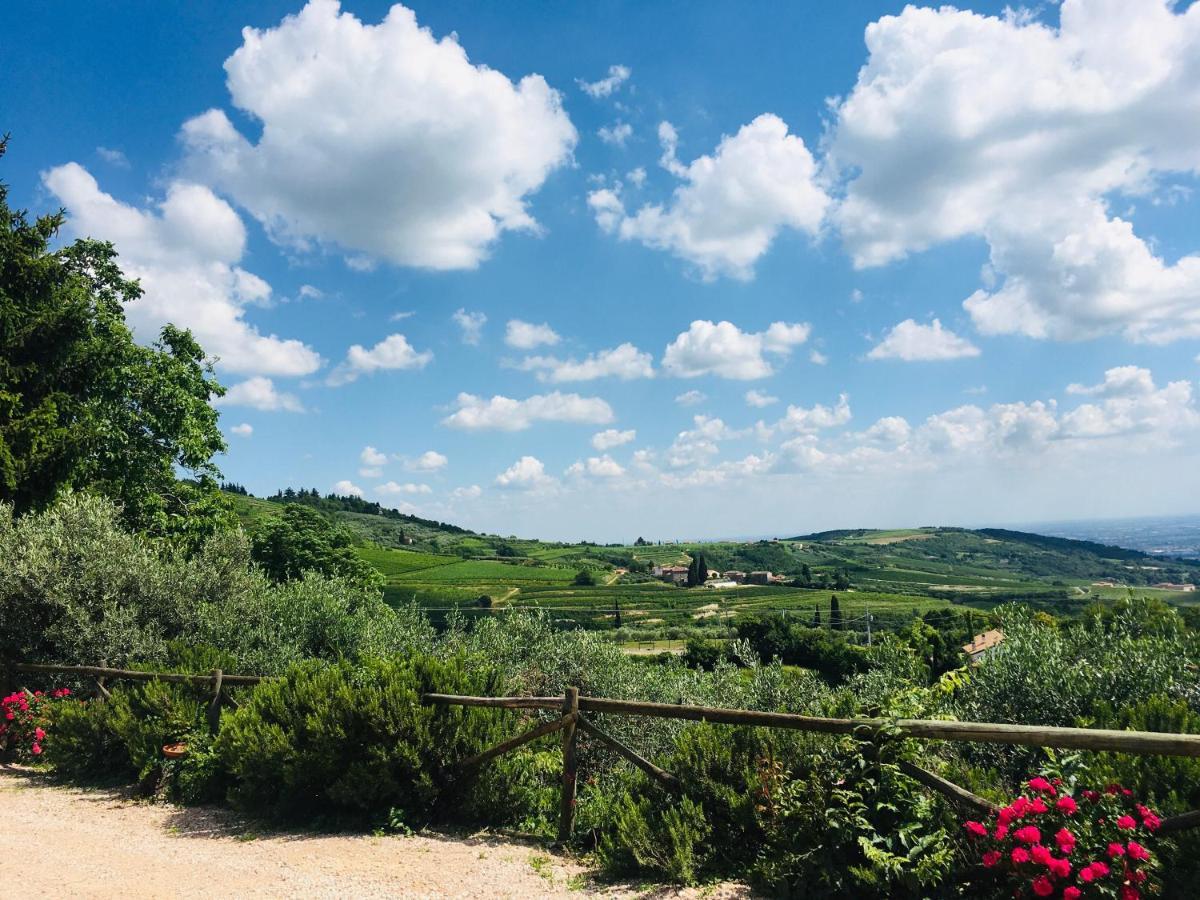 Agriturismo La Perlara - Adults Only Верона Экстерьер фото